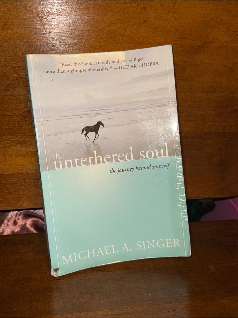 The book the untethered soul